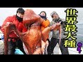 【Octopus fishing】巨大すぎる水ダコを釣り上げる！