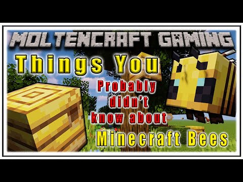 things-you-probably-didn't-know-about-bees-in-minecraft!!!