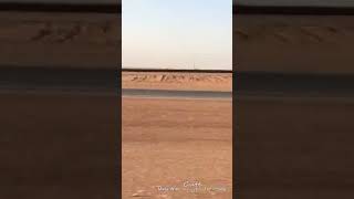 شاهد رجوع الحمام الزاجل وسرعته في صحراء السعودية ماشاءالله