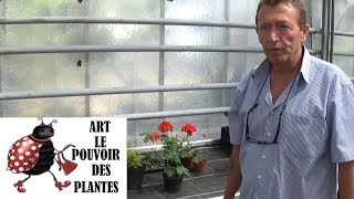 Tuto Jardinage:Comment faire un Semis de mimosa pudica (plante sensitive)