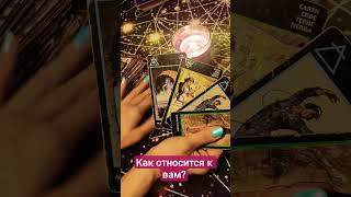 Как относиться к вам? #таро #прогноз #тарологпроводник #расклад #гадание