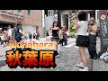 walk in Akihabara【秋葉原をお散歩】2026年7月11日