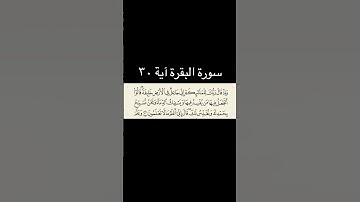 سورة البقرة آیة ٣٠ #قران #سورة بقرة#قران_كريم #quran #viral #foru #forupage #fyp #fypシ゚viral