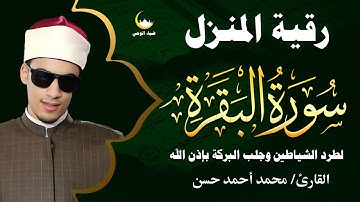 سورة البقرة كاملة 💫 تلاوة مؤثرة بصوت الشيخ محمد أحمد حسن تهز القلوب وتغمر الروح بالسكينة