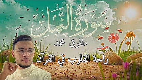 سورة النمل كاملة القارئ طارق محمد | تلاوة هادئة تريح القلب تشرح الصدر، طمأنينة و راحة نفسية #قران