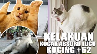 KELAKUAN KOCAK LUCU ABSURD KUCING +62 😂 by MalikPedia Channel 1,347 views 2 years ago 9 minutes, 26 seconds