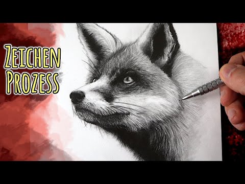 Video: Wie Zeichnet Man Einen Fuchs Mit Einem Bleistift