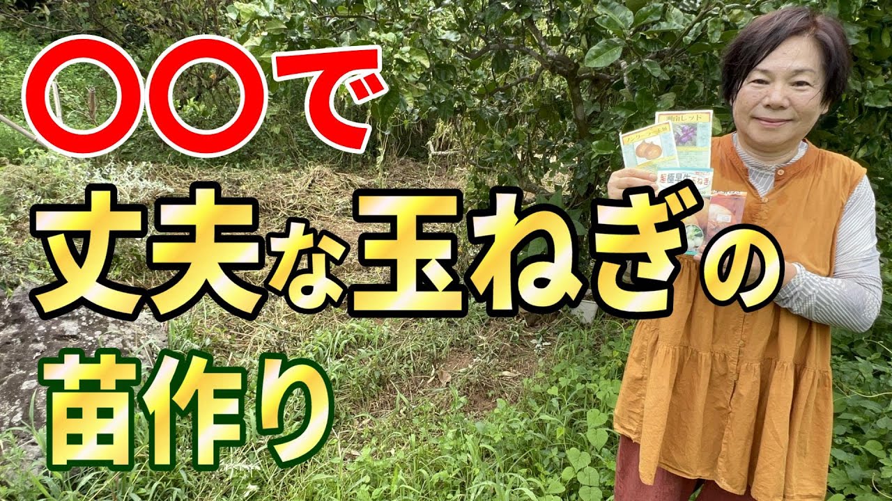 Grow strong onion seedlings! - YouTube