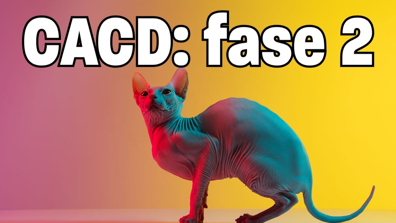 CACD de A a Z | Fase 2 do CACD: decifra-a ou ela te devora! | Pupila do Barão: do CACD à Diplomacia!