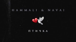 HammAli & Navai – Птичка (Клип 2023)