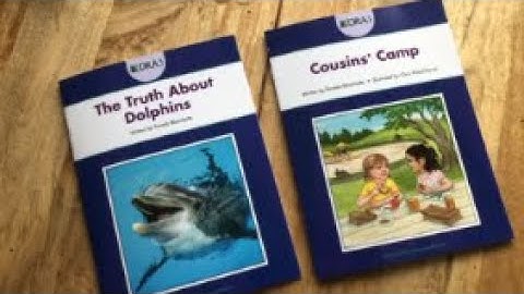 DRA 3 ONLINE: How to conduct the read.