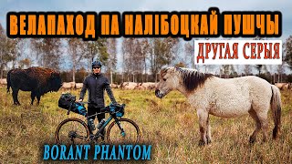 :   ˲    BORANT PHANTOM. ˲   Ρ.  .