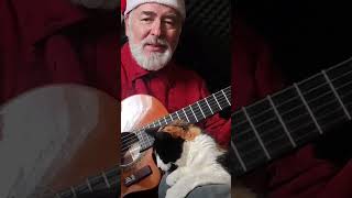 Merry Christmas 🎄 🎅 🐈 from Igor and Roxy #nowar #merrychristmas #guitar