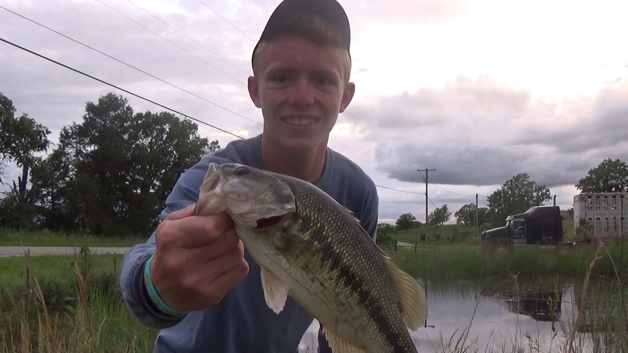 Catching Fish in Small Ponds - YouTube