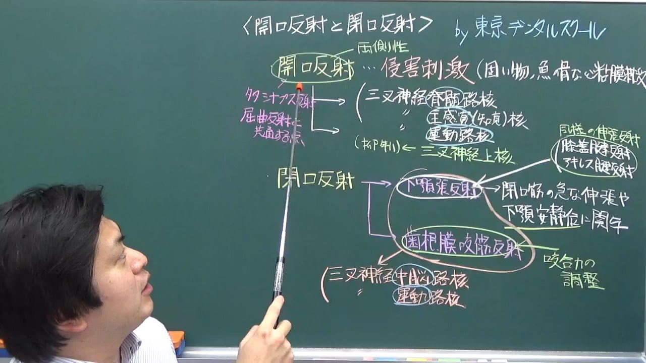 開口反射と閉口反射　３分で分かる生理学