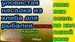 ЛУЧШАЯ НАСАДКА из ХЛЕБА тесто для рыбалки. Лови по Холодной Воде всю Осень Карася Карпа Леща.