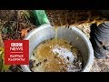 Катаал эмгек менен табылган бал - BBC Kyrgyz