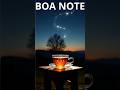 🌙✨ Boa Noite Especial – Uma Mensagem que Vai Tocar Seu Coração ✨🌙