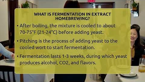 What Is Fermentation In Extract Homebrewing? - The Pint Guy