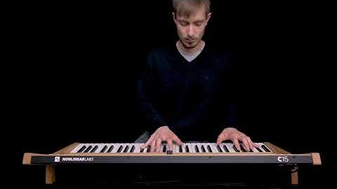 Nonlinear Labs C15 - Disto Ride