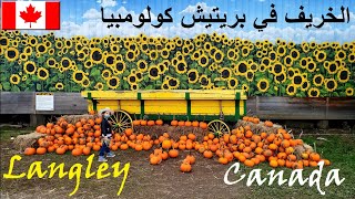 تعرف على لانغلي- كندا في الخريف، مكان ولادة بريتيش كولومبيا | Langley