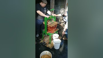 Cider making Barnstaple (pilton) Day 3 part 1 2021