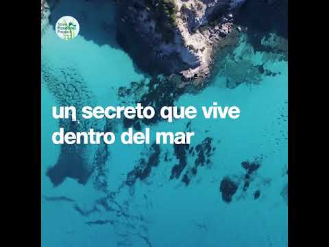 El secreto de