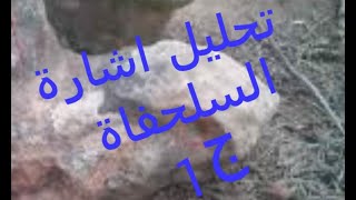 تحليل اشارة السلحفاة / الجزء الأول