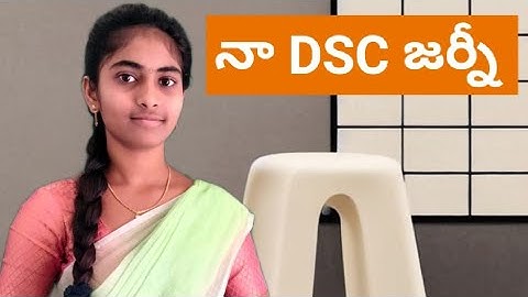 Na DSC journey  || Meena teacher dsc journey  ||