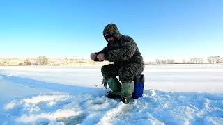 Предновогодняя рыбалка  Рыбалка в мороз Воронежская область