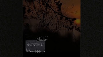 القارئ دلشاد احمد سورة الضحی ، تلاوة خاشعه.