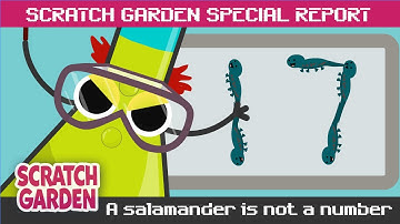 A Salamander is NOT a Number! | SPECIAL REPORT | Scratch Garden