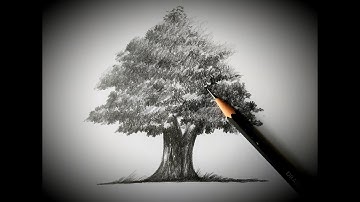 How to draw a Banyan tree step by step for beginners | How to draw a Banyan tree easy | Tree draw