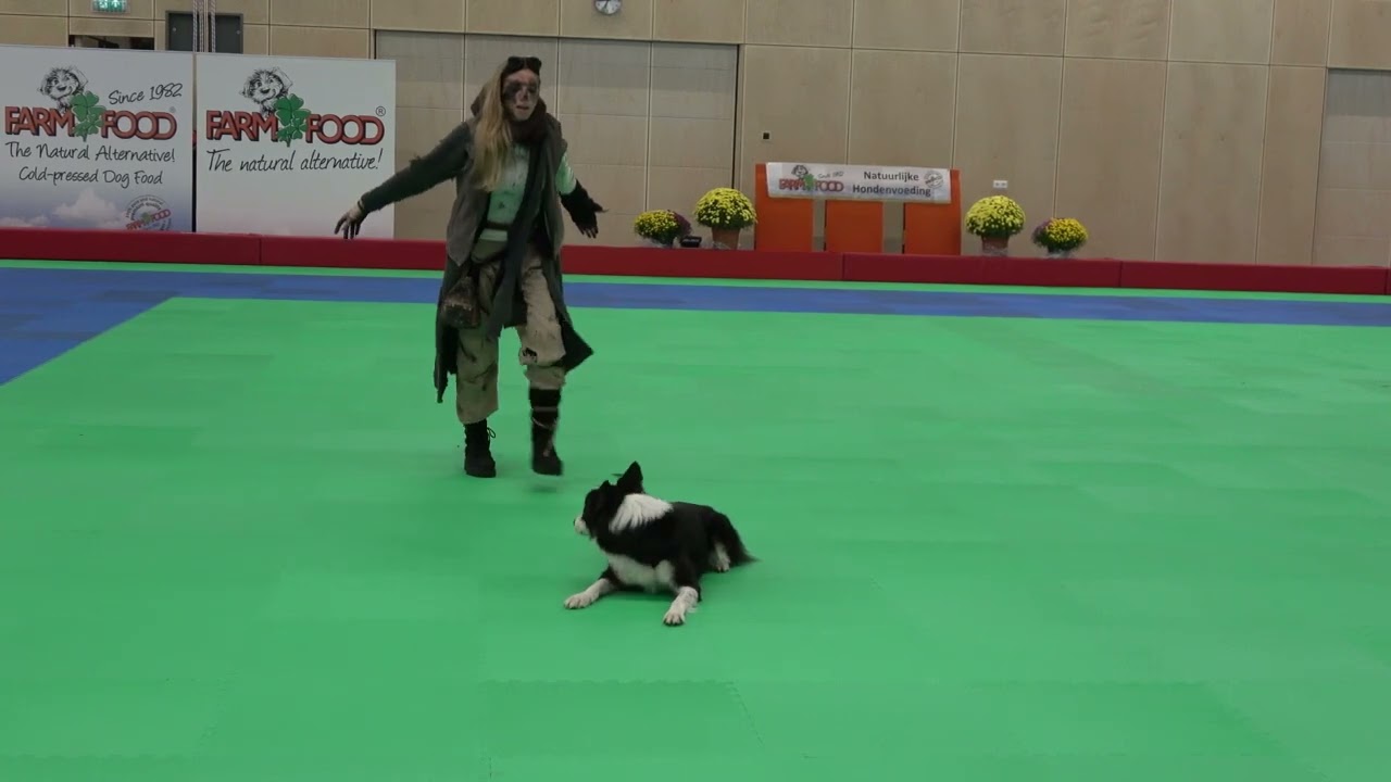 Pessah & Roni Sagi - OEC 2022 Freestyle 3rd place