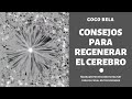 CONSEJOS PARA REGENERAR EL CEREBRO