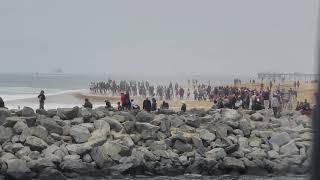 surfing competition spectators stand in awe