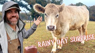 A Rainy Day Adventure on the Farm! (What Do The Animals Do When It Rains?) by Cog Hill Farm For Kids 39,772 views 5 months ago 11 minutes, 33 seconds