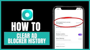 How to clear ad blocker history on Mint Browser