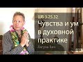 2019-04-06 - ШБ 3.25.32 - Чувства и ум в духовной практике (Домашняя программа, Лагуна Бич)