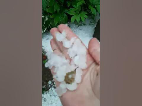 Дача Ольги Наб Челны - YouTube