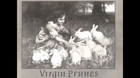 VIRGIN PRUNES fado