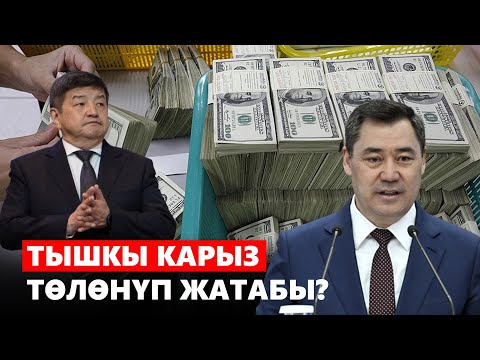 Video: Бул күрөшүп жатабы же күрөшүп жатабы?