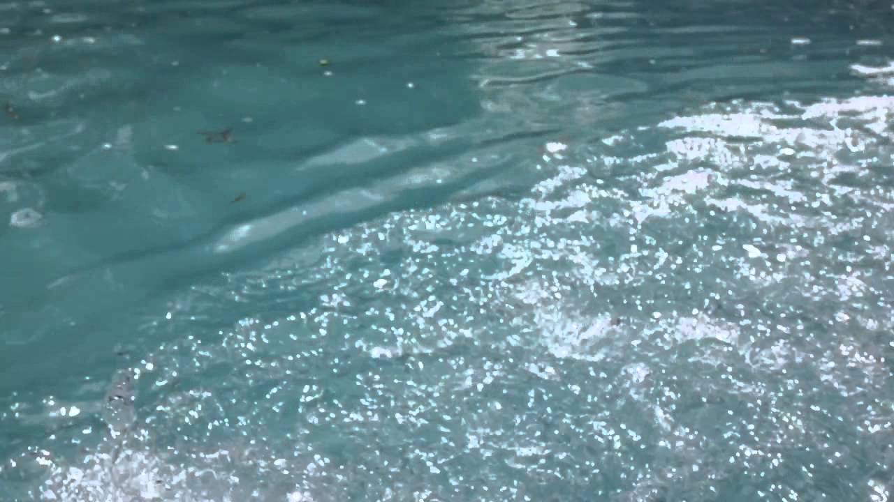 Clear Up A Cloudy Swimming Pool Fast With Blue Shield ...