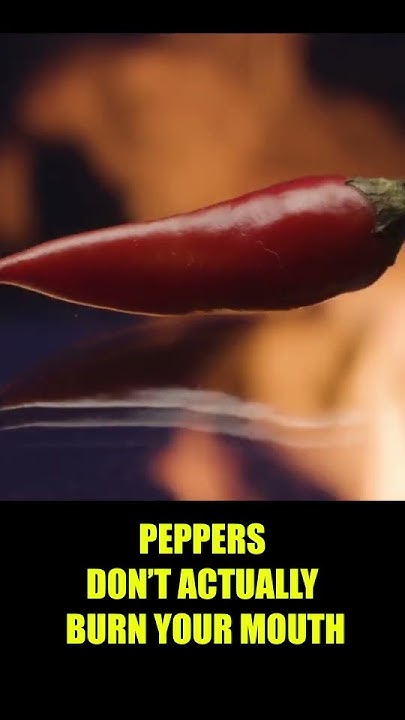 crackers-are-worse-for-your-teeth-than-sugar-youtube