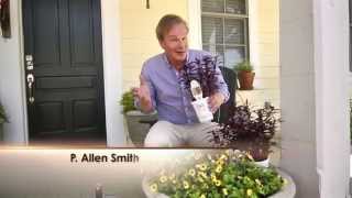 How to Care for Garden Plants | Proven Winners® Tips with P. Allen Smith Eggshells And Coffee Grounds In The Garden Proven Winners Tips With P Allen Smith