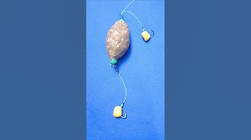 Easy Way to Install Carp Bait #shorts #fishing #carpfishing #tutorial