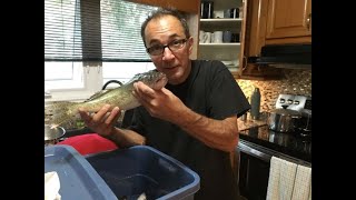 Johnnys Green Extractions. Red river fishing video