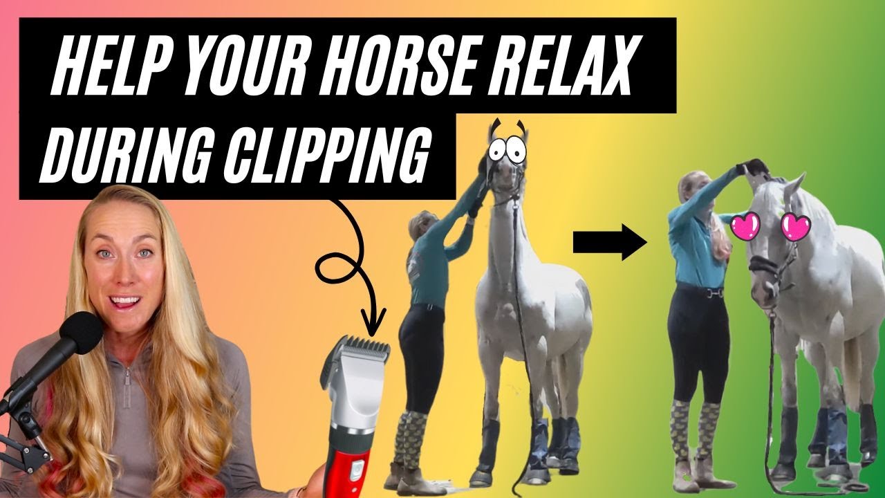 Bridle Path Clipping Easy and FAST Method to Help Your Horse Relax