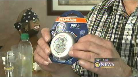 BEST stink bug trap EVER news segment