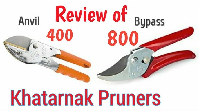 4 Types of Hand Pruners and How to Choose